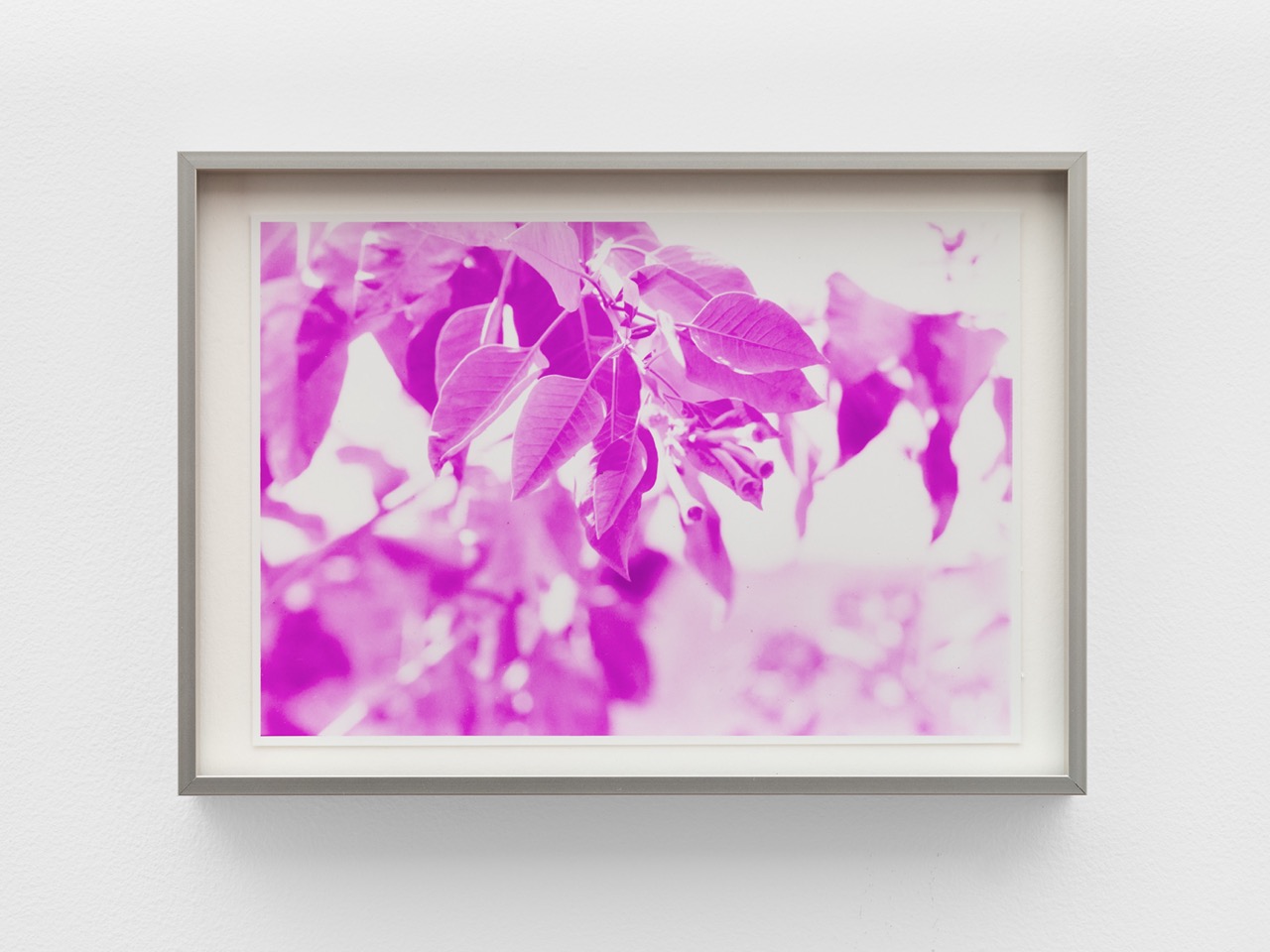 Current Exhibition Image 1